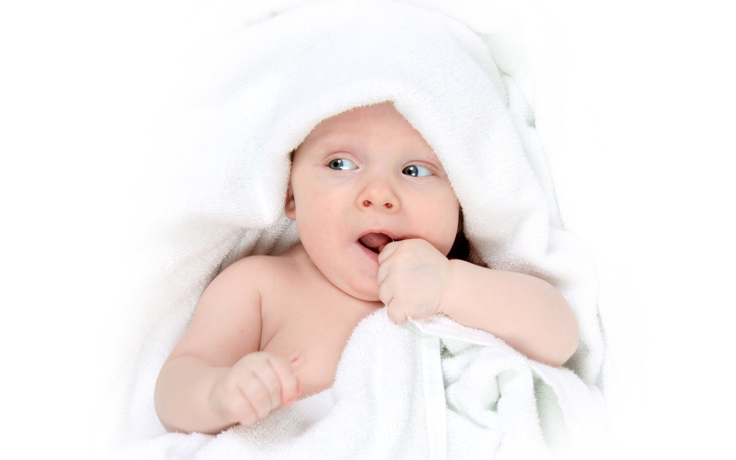 供卵公司机构试管婴儿成功率低的原因